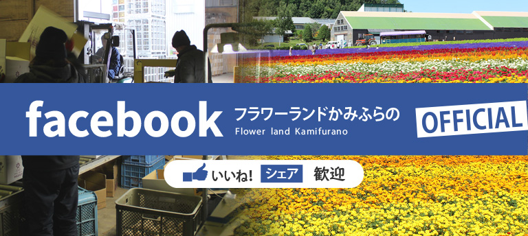 ヘッダーバナー｜facebook