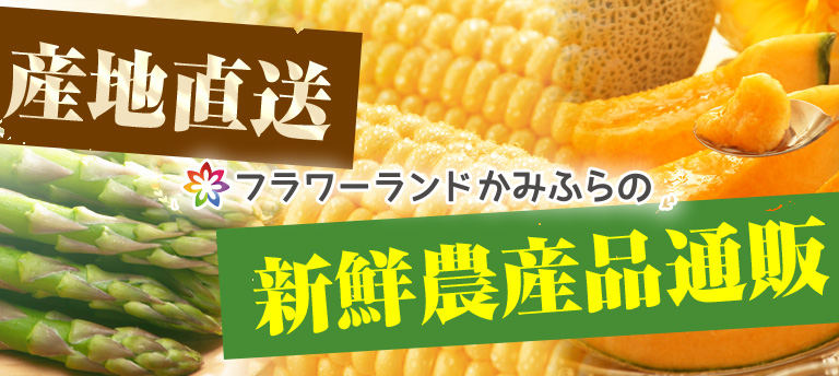 ヘッダーバナー｜フラワーランドかみふらの通販サイト