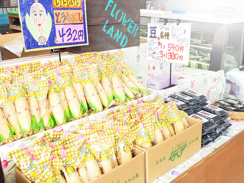 2023年春|売店の様子