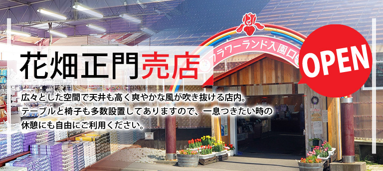 ヘッダー用バナー｜夏季売店OPEN
