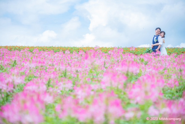 写真スタジオ M&Mcompany 230725提供写真